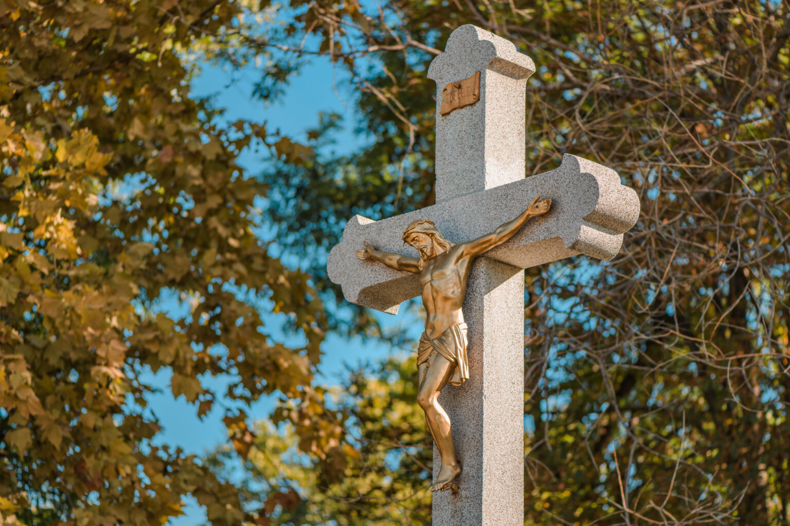 The Feast Of St. Maximilian Kolbe - CatholicIntl.com